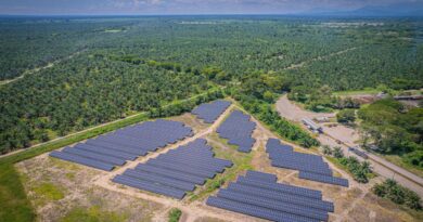 Reduce Gremca su huella de carbono hasta alcanzar un balance negativo de -39 kilos de CO₂ por tonelada de aceite de palma